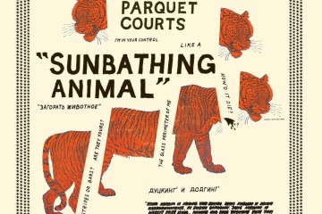Sunbathing Animals by Parquet Courts